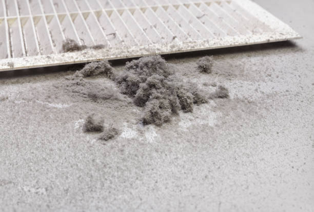 Best Duct Cleaning for Homes  in Park Ridge, IL