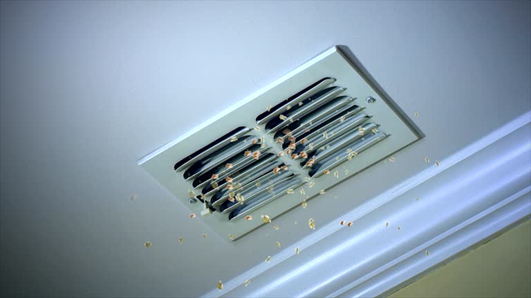 Best Air Duct Cleaning Near Me  in Park Ridge, IL