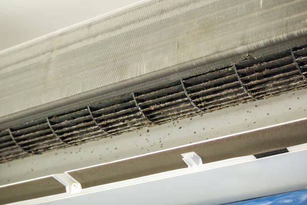 Best Residential Air Duct Cleaning  in Park Ridge, IL